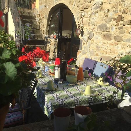 B&B Il Tulipano Polverara Eksteriør billede