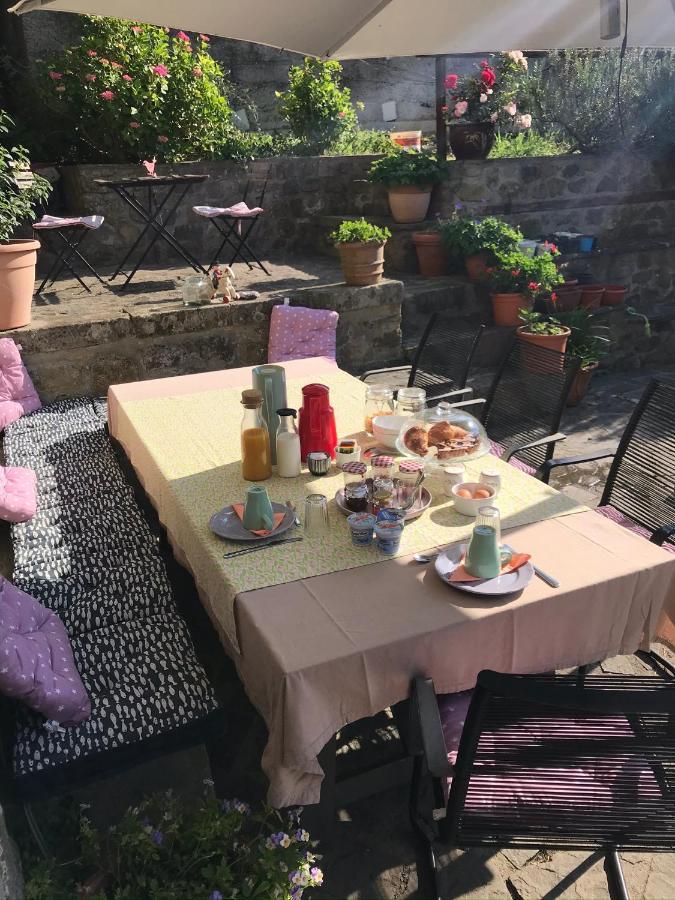 B&B Il Tulipano Polverara Eksteriør billede
